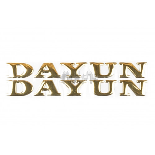 Наклейка букви DAYUN (19х4см, 2шт, золоті) (DYN) арт.N-1674